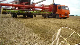 Брянский Губернатор отчитался в Правительстве РФ о сборе урожая