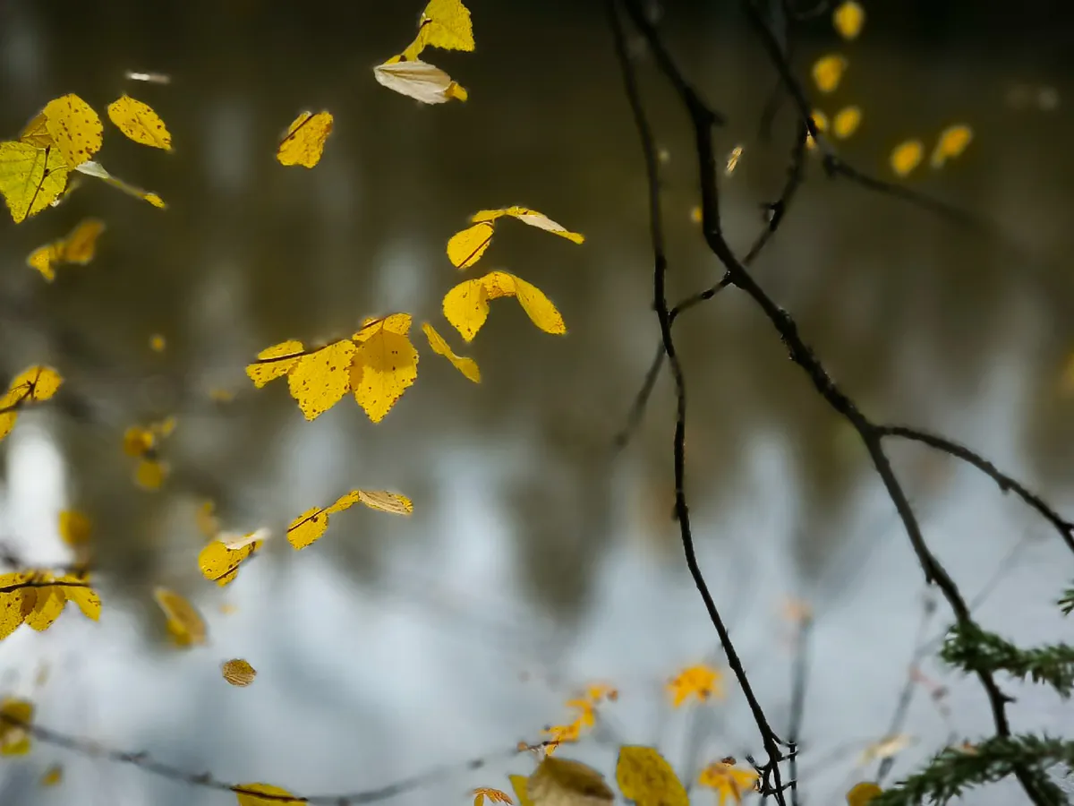 Вот и все: теплый сезон в Магнитогорске заканчивается