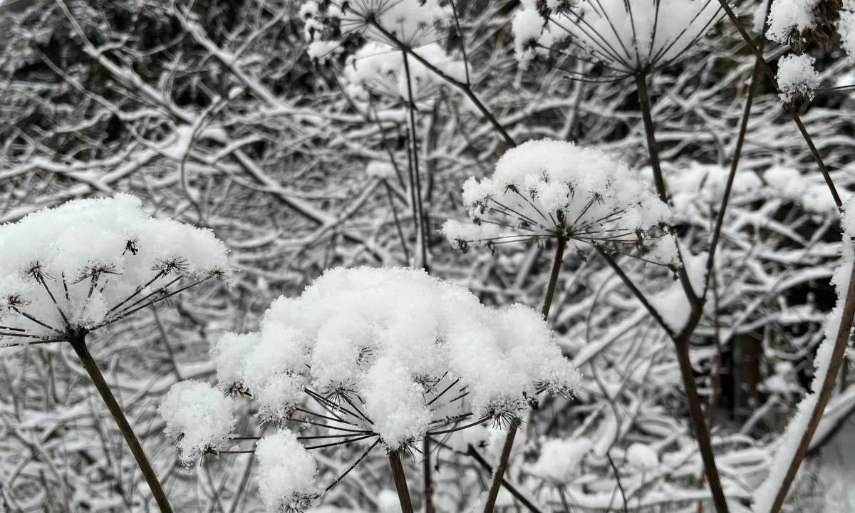Синоптики предупредили о наступлении настоящей уральской зимы в Челябинской области