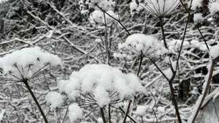 Метеорологи прогнозируют смягчение морозов на Южном Урале к концу недели
