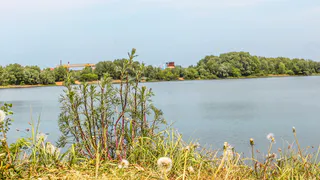 До 11 августа: в Рязанской области продлится жара