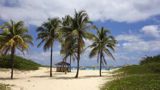 Полетел на Кубу отдыхать и случайно узнал о странных запретах: некоторые меня реально удивили