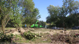 Благоустройство: в Рязани проводят расчистку береговой полосы