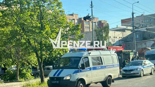 Пензенские полицейские поделились историей своего знакомства