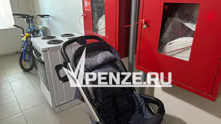 В области многодетным мама пересчитают пенсии: подробности 