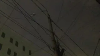 18 апреля на двух рязанских улицах отключат электроэнергию