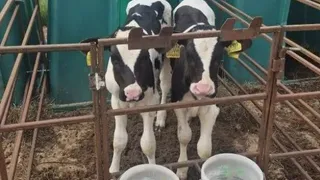 Власти Коми проверили ход сельских преобразований в Прилузье