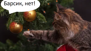 Обсуждение: есть ли у вас новогоднее настроение?