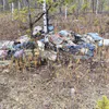 Суд в Селивановском районе обязал арендатора леса убрать свалку площадью 9000 квадратных метров