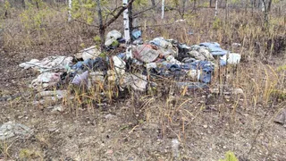 Суд в Селивановском районе обязал арендатора леса убрать свалку площадью 9000 квадратных метров
