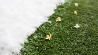 Зима с летом поменялись местами: погода преподнесла россиянам настоящий сюрприз