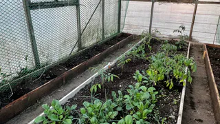 Не пропустите февральский засев: 7 культур, которые осенью отблагодарят вас щедрым урожаем