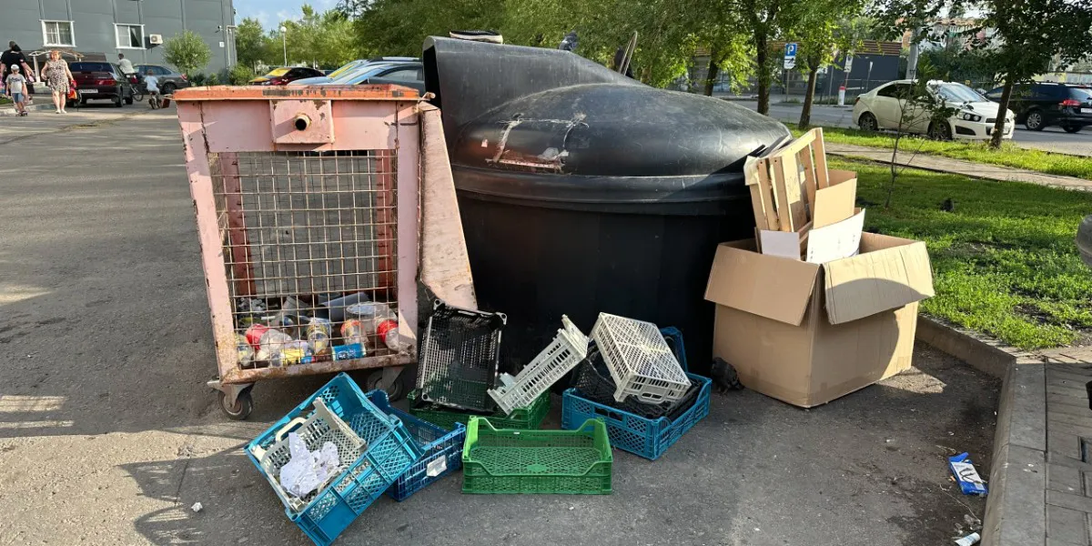 В Пензе горы мусора стали причиной появления вредителей