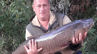 Поймал на кукурузу: в Оке выловили амура весом в 16 килограмм
