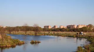 Добро пожаловать: Рязанскую область включили в число регионов "без карантина"