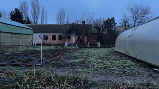 Закопайте в огороде такую корягу — заведёте убийцу всех болезней растений: здоровые грядки завалят урожаем