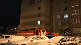 В Пензенской области сгорел 48-летний мужчина