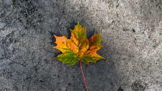 12 сентября для Нижнекамцев будет солнечным