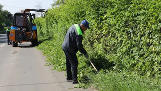 В Магнитогорске начался сезон зеленых стрижек