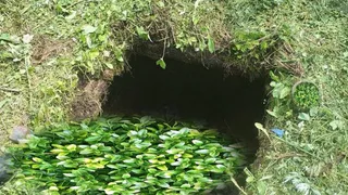 В Пензе спасатели вытащили из заброшенного погреба мужчину с раненной ногой