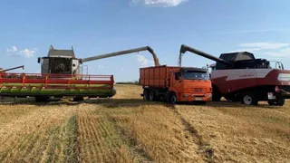 В Брянской области стартовала уборочная кампания нового урожая