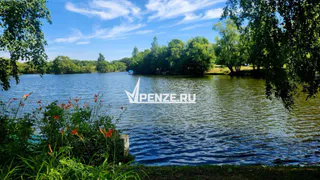 В Городищенском районе поймали рыбаков с незаконным уловом