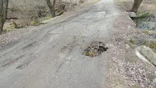 Жители Выгоничского района пожаловались на опасный мост