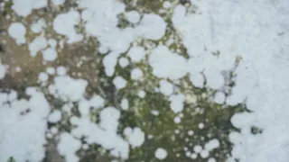 Какой будет погода в понедельник 26 марта