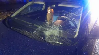 За смерть пешехода в ДТП ковровский водитель получит срок