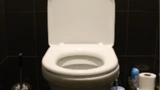 Свекровь в пути: 4 дешевых ингредиента в унитаз - и запах, как в люксовом отеле