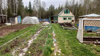 Мартовская аномальная жара изменит сроки урожая: когда лучше сажать помидоры и картошку - подробный список дат