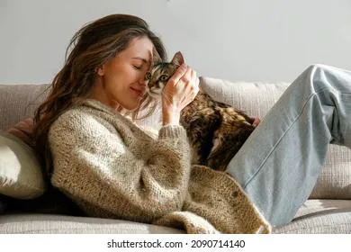 Приласкайте котика: что можно, а что нельзя делать 20 июня