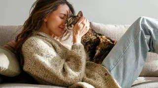 Приласкайте котика: что можно, а что нельзя делать 20 июня