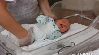 В Коми первым новорожденным в 2024 году стал мальчик из Сыктывкара