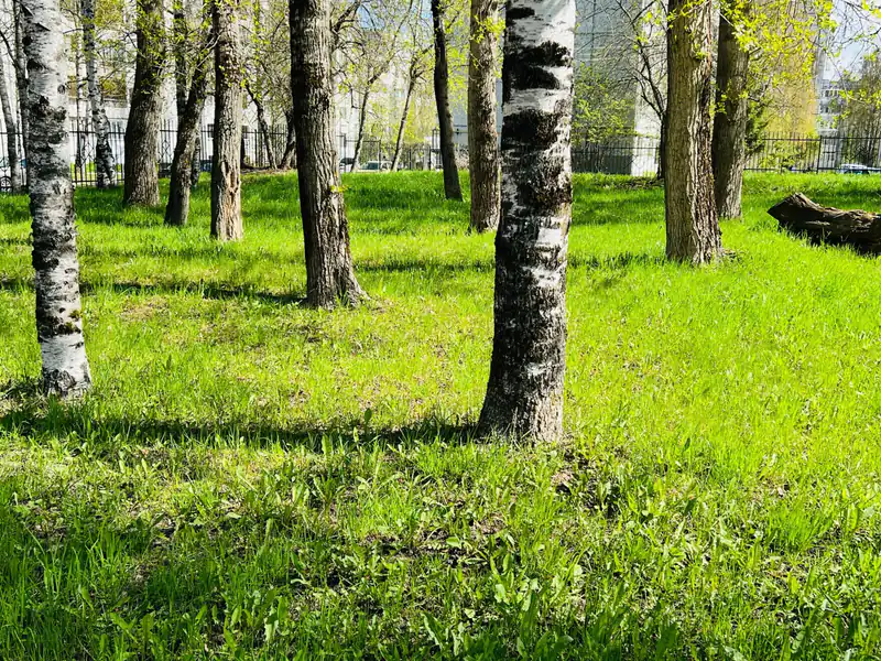 Антициклон принесёт аномальное тепло на Южный Урал: погода на 28 мая
