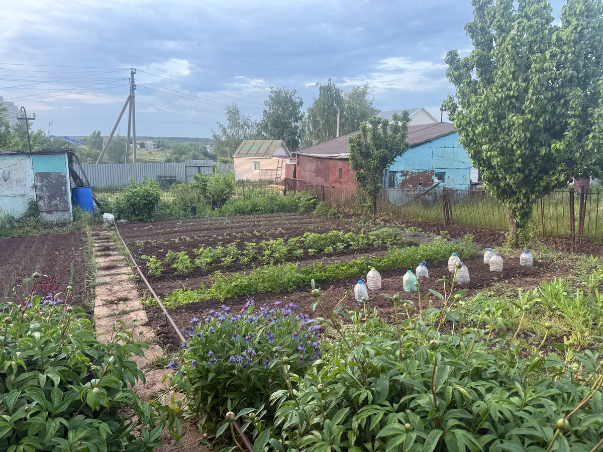Траву на дорожках не рву и ничем не опрыскиваю: одна секунда — и сорняков нет — жаль, раньше не догадался так делать