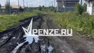 «Ни воды, ни света на улицах, ни инфраструктуры»: многодетные семьи из Пензы получили непригодные для жизни земли