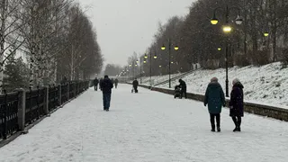 Ногам жарко даже в тоненьких носках: кладу 1 шарик под стельку - и бегаю часами на морозе. Греет хлеще теплых полов