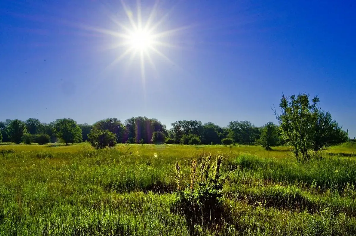 Никаких каникул и праздников: в РФ хотят отменить длинные каникулы в январе и мае