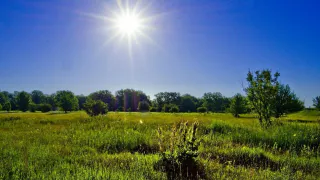 Никаких каникул и праздников: в РФ хотят отменить длинные каникулы в январе и мае