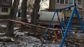 В Октябрьском городке дерево упало на детскую площадку