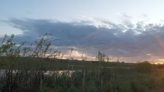 Рязанцев предупредили о шквалистом ветре