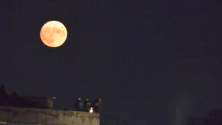 Обещают чистое небо: в ночь с понедельника на вторник можно наблюдать «суперлуние»