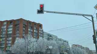 Механик разъяснил, как скандинавы ездят зимой, не прогревая двигатели машин: и топливо экономит и прогрев в салоне с первых секунд