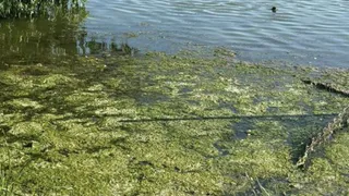 Ведется проверка смерти мужчины в водоеме Пензенского района