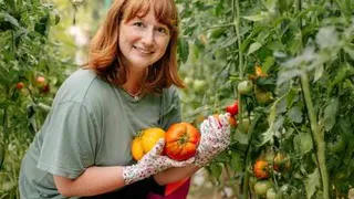 Лунный календарь огородника и садовода с 7 по 13 августа