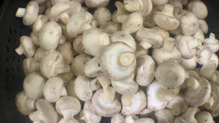 Два самых "подлых" гриба-обманщика в начале грибного сезона: даже опытные грибники ошибаются