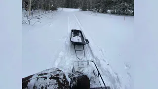 В Рязанской области 30 января столбик термометра установится на нулевой отметке