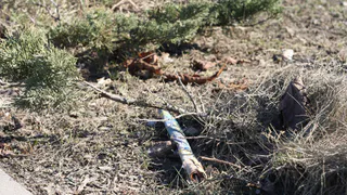 Рязанцев штрафуют за костры, разведенные на природе