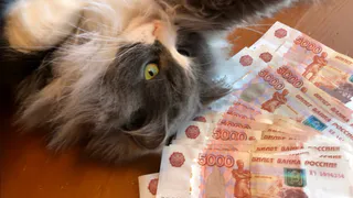 Приготовьте кошельки: с 1 апреля пересчитают пенсию - вот кто попал в список